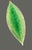 Late 20th Century Late 20th Century Costa-Nova Portugal Hand Painted Ceramic Set of 3 Green Leaf Dip Plates Bowls For Sale - Image 5 of 10