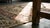 1850s Ivory Pink Antique Besserabian Kilim Flatweave Carpet Floral Medallion Rug For Sale - Image 14 of 15
