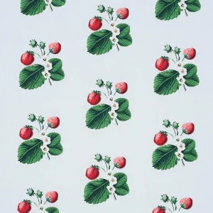 Schumacher x Johnson Hartig Strawberry Hill Fabric in Sky