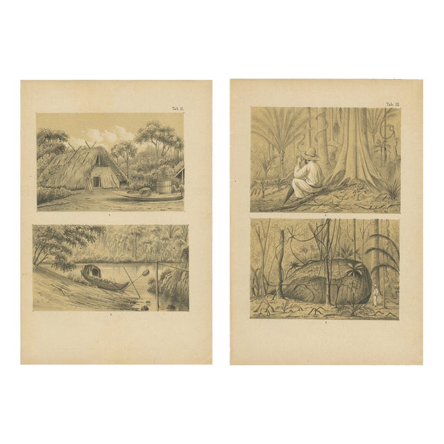 Suriname Jungle Life and Sacred Stone Lithographs by Karl Martin, 1888, Set of 2 For Sale