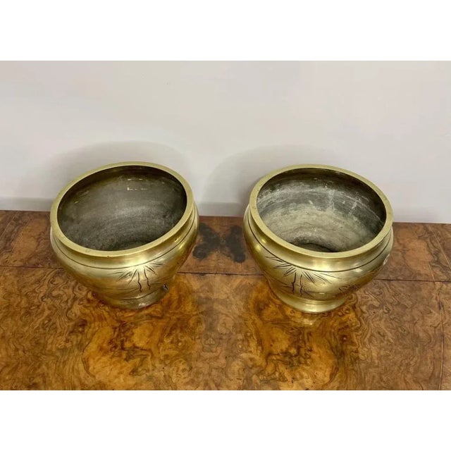 Edwardian Brass Jardinieres, 1900, Set of 2 For Sale - Image 4 of 8