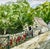 French Country Original Watercolor Painting on Paper of “England Cottage Lych Gate”. For Sale - Image 3 of 5
