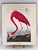 Audubon Bird Print – “American Flamingo”, 1964 Abrams Folio – Vintage Ornithology Art 1964 print from "The Audubon Folio:...
