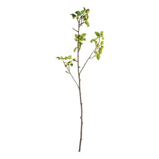Crabapple Branches 45" St/2 For Sale