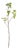 Crabapple Branches 45" St/2 For Sale