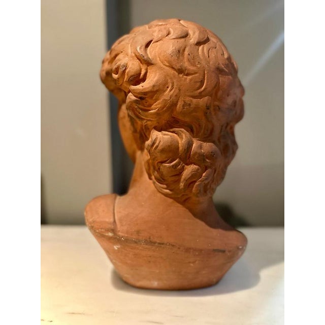 Early 20th Century Antique Terracotta Bust of Michelangelos David by Manetti, Italy, 1910 For Sale - Image 5 of 11