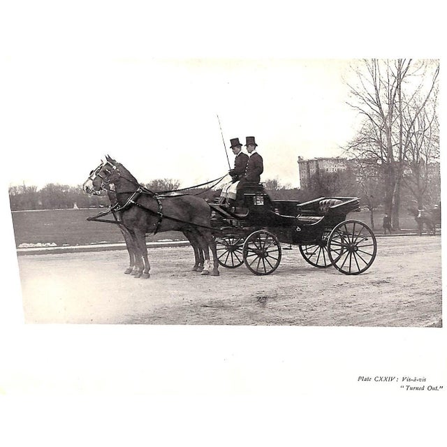 White "Driving for Pleasure: Or, the Harness Stable and Its Appointments" 1896 Underhill, Francis T. For Sale - Image 8 of 12