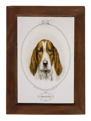 The Hound Vintage Print Behind Glass in Solid Wood Frame