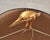 Gilt Resin and Lucite Ibis Table Lamps by Cyan Design - a Pair For Sale In Sacramento - Image 6 of 18