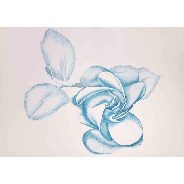 Giacomo Porzano, Blue Rose, 1970s, Etching For Sale