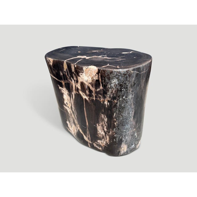 Contemporary Andrianna Shamaris Impressive Super Smooth Petrified Wood Side Table For Sale - Image 3 of 5