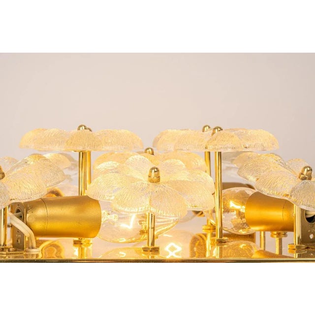 Petite Glass Flower Wall Light from E. Palme, Germany For Sale - Image 12 of 15