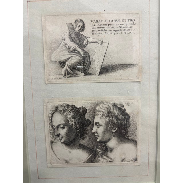 Alabaster 17th Century Wenceslaus Hollar "Varie Figurae" Signed Etchings After Da Vinci — Sequentially Framed Diptych For Sale - Image 8 of 12