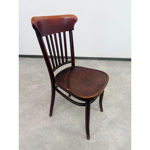 Vintage Bentwood Dining Chairs from Thonet, 1920s, Set of 10 For Sale - Image 9 of 14
