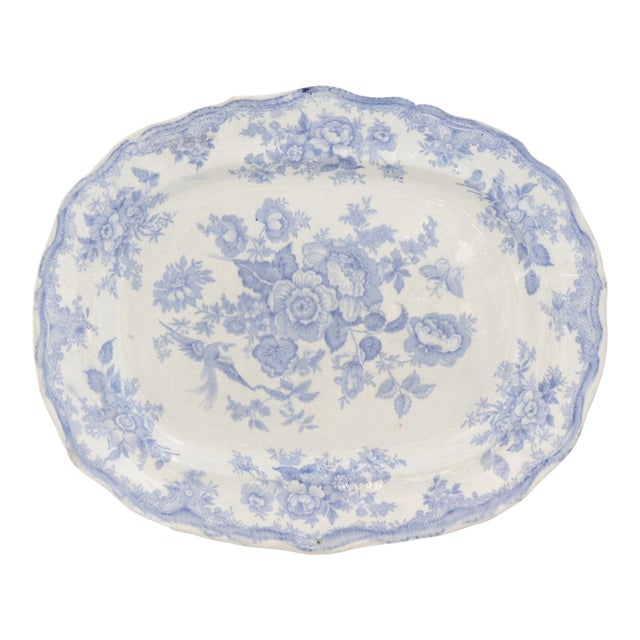 19th-Century 13" English Ironstone Asiatic Pheasant Meat Platter For Sale