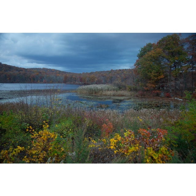 "Benjamin Meadow 1" Original Upstate New York Photograph by Michael Filonow For Sale