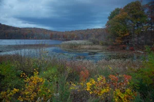 "Benjamin Meadow 1" Original Upstate New York Photograph by Michael Filonow