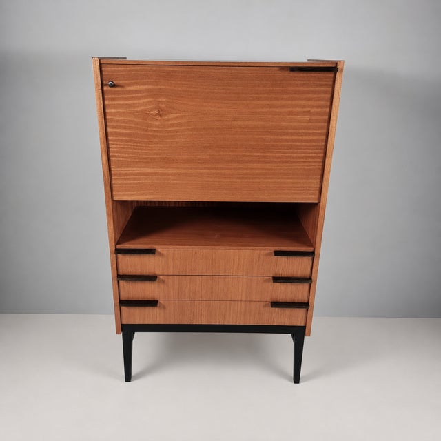 Wood Vintage Cabinet by Francisek Mezulanik, 1960s For Sale - Image 7 of 12