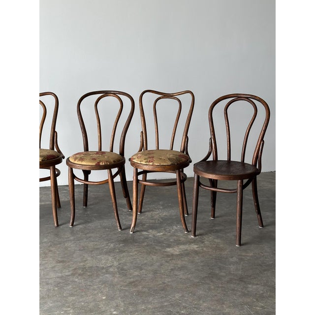 Early 20th Century Bentwood Oak Café Chairs W/ Rose Floral Seats, 1933 World's Fair — Set of 7 For Sale - Image 5 of 17