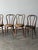Early 20th Century Bentwood Oak Café Chairs W/ Rose Floral Seats, 1933 World's Fair — Set of 7 For Sale - Image 5 of 17