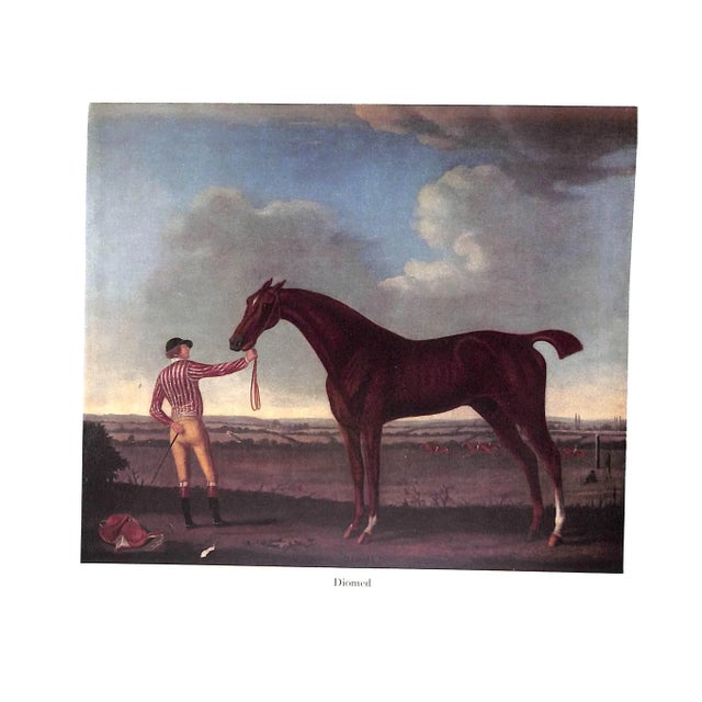 "The Jockey Club" Book 1958 Mortimer, Roger For Sale - Image 4 of 12