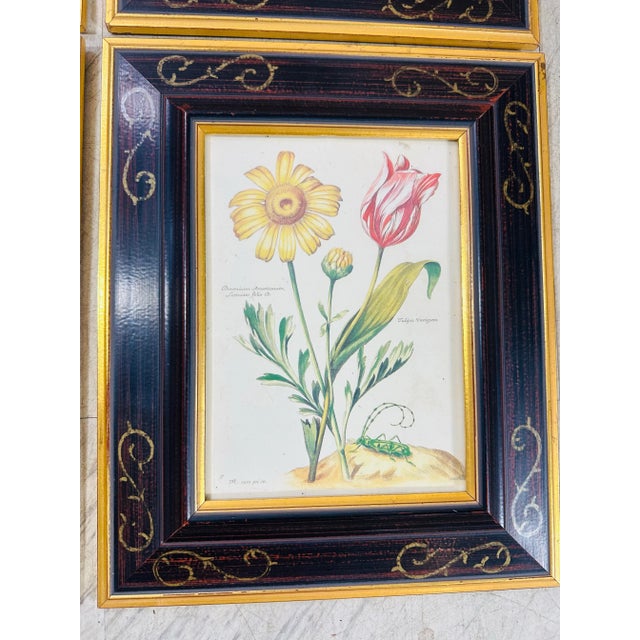 Illustration Vintage Chelsea House Prints, Set of 4 For Sale - Image 3 of 10