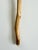 Early 21st Century Natural Wooden Walking Stick, Rustic Hiking Staff/ Cane Twisted, T Handle 36” For Sale - Image 5 of 15