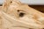 Wood 1940s American Carved Wooden Horse Head Fragment with Weathered Patina For Sale - Image 7 of 10