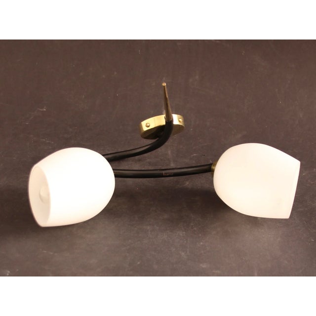 1960s Sconce with Brass and Glass Shades from Lunel, France, 1960s For Sale - Image 5 of 8