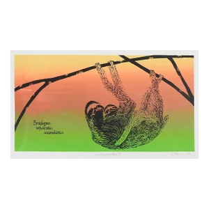 Contemporary Colorful Lithograph of 3 Toed Sloth and Baby