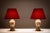 Satsuma Table Lamps, Japan, 1950s, Set of 2 For Sale - Image 6 of 12