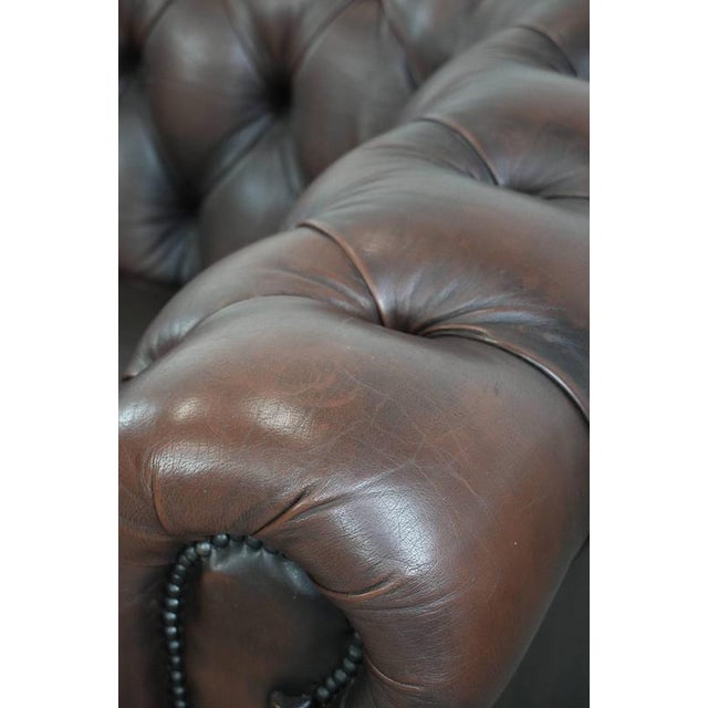 Vintage Chesterfield Two-Seater Sofa in Dark Brown Cowhide For Sale - Image 17 of 18