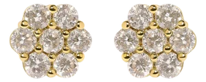 14K Yellow Gold 3.0 Cttw Diamond Floral Cluster Stud Earring