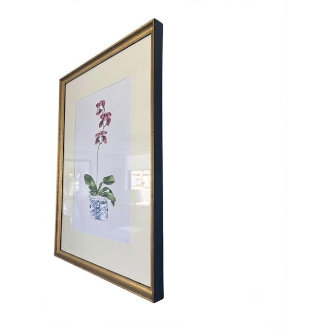 Pair of Vintage Framed Orchid Botanical Prints in Chinoiserie Pots For Sale - Image 4 of 12
