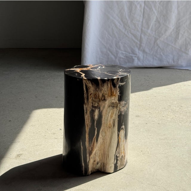 Side Table in Black Petrified Wood with Beige Star Pattern For Sale - Image 4 of 18
