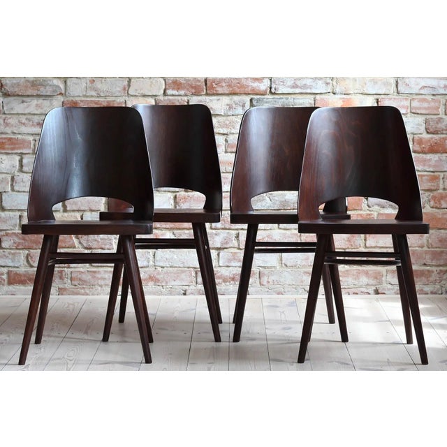 Mid-Century Modern Model 514 Dining Chairs in Beech Veneer by Radomir Hofman for TON, Set of 4 For Sale - Image 3 of 14