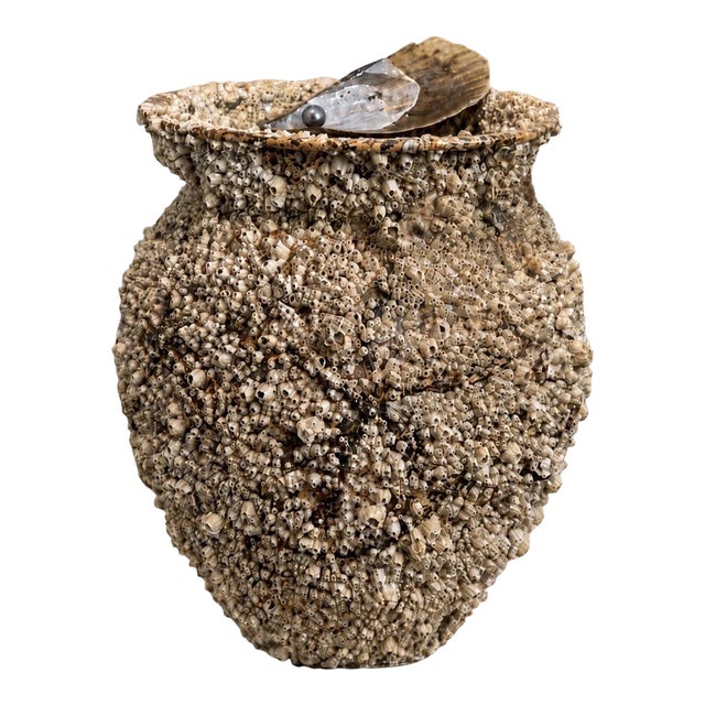 Peace River Barnacle-Encrusted Vessel With Faux Vintage Japanese Black Pearl, 19 In. Takotsubo Style For Sale