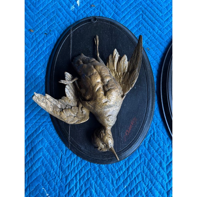 Mid 18th Century Air 19c Bronze Patina Game Bird Trophy Plaques Wood Mounted Signed P. Comolera For Sale - Image 5 of 10