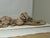 1900 - 1909 Antique French Architectural Carved Wood Fragment For Sale - Image 5 of 17
