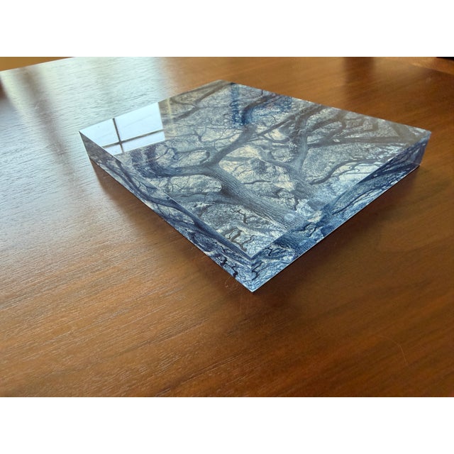 Original photographic work by Paula McIntosh of PJM Photo, offered as part of a studio clean-out of discontinued work....