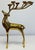 Stunning vintage solid brass stag deer candelabra to hold ten (10) squat, rounded candles at antler tips. Substantial in...