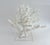 Mid 20th Century Massive Natural Branch Coral Specimen on Acrylic Base For Sale - Image 5 of 7