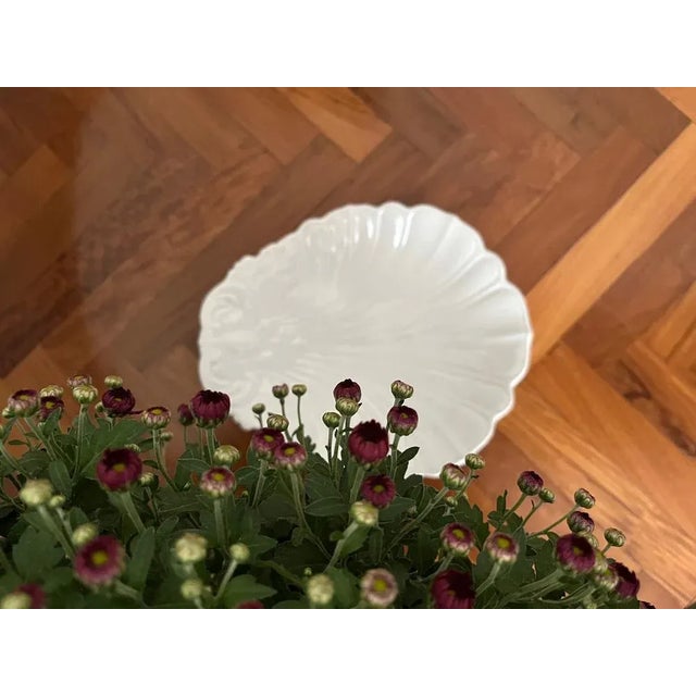 Ceramic Shell Vide Poche by Richard Ginori, 1900s For Sale - Image 3 of 9