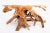 2020s Naturel Teak Root Console Table, 55" Long Light Brown For Sale - Image 5 of 6