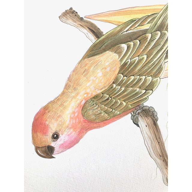 "Strictly for the Birds" Tropical Chinoiserie Painting by Allison Cosmos Chairish