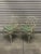 Vintage Pair of 1960’s Faux Bamboo Chippendale Style Metal Garden Chairs in Original Upholstery.