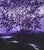 Mid 20th Century Vintage American 20th C Framed Oil Painting Nocturnal Landscape River & Forest For Sale - Image 5 of 16