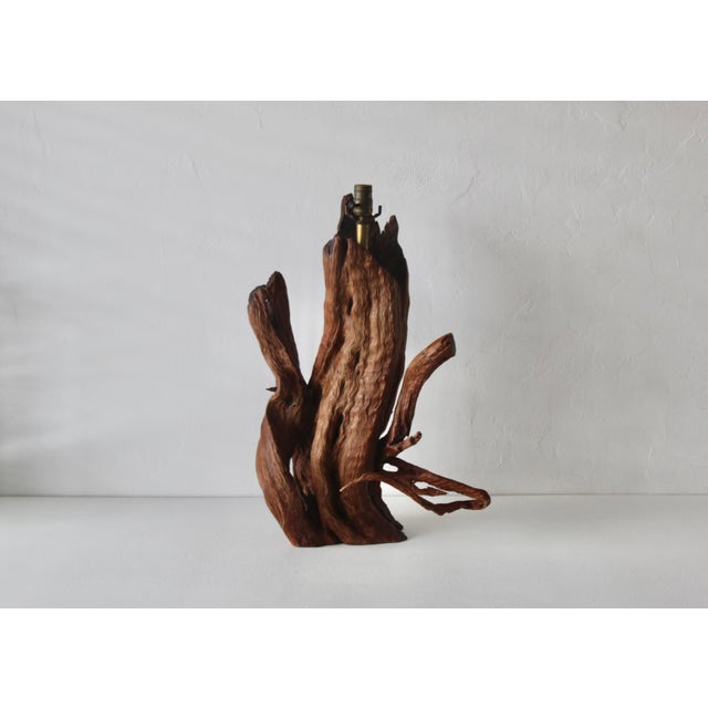 Mid 20th Century Monumental Driftwood Table Lamp Coastal Rustic For Sale - Image 4 of 16