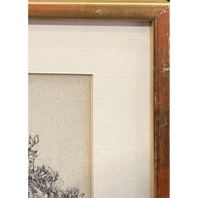 Paper Otto Vautier, Tree, Graphite on Paper For Sale - Image 7 of 12