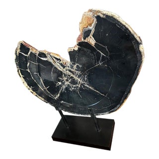 Andrianna Shamaris High Quality Petrified Wood Sculpture or Coffee Table For Sale